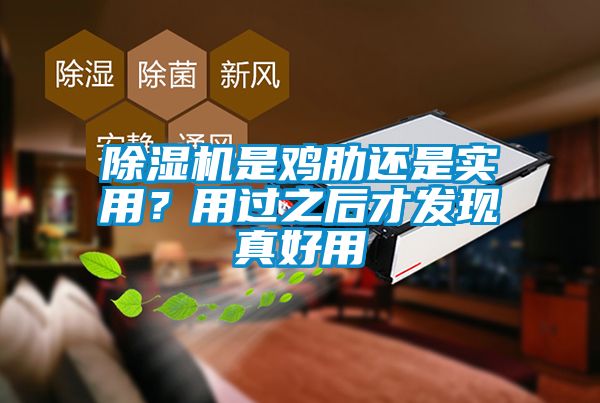 除濕機(jī)是雞肋還是實(shí)用？用過之后才發(fā)現(xiàn)真好用