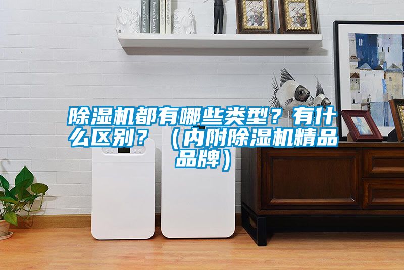除濕機(jī)都有哪些類(lèi)型？有什么區(qū)別？（內(nèi)附除濕機(jī)精品品牌）