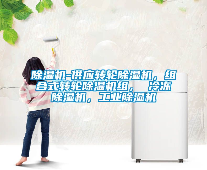 除濕機(jī)-供應(yīng)轉(zhuǎn)輪除濕機(jī)，組合式轉(zhuǎn)輪除濕機(jī)組， 冷凍除濕機(jī)，工業(yè)除濕機(jī)