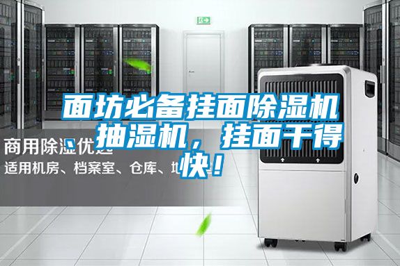 面坊必備掛面除濕機(jī)、抽濕機(jī)，掛面干得快！