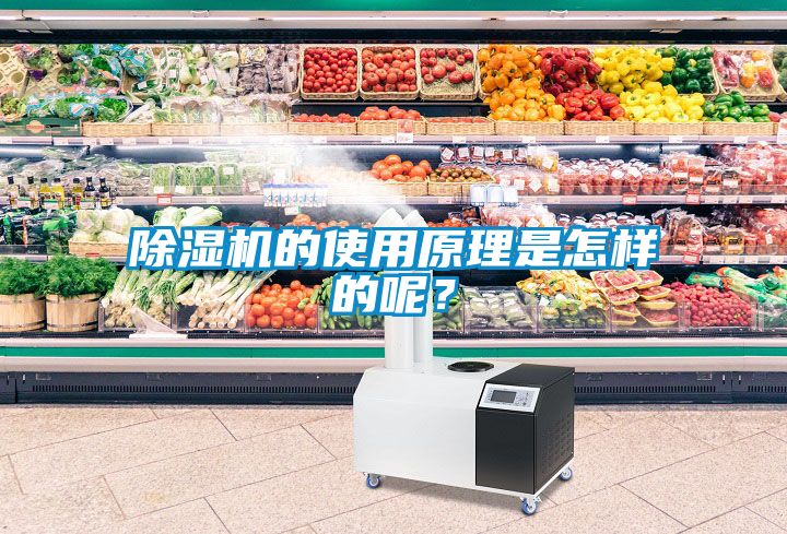 除濕機(jī)的使用原理是怎樣的呢？