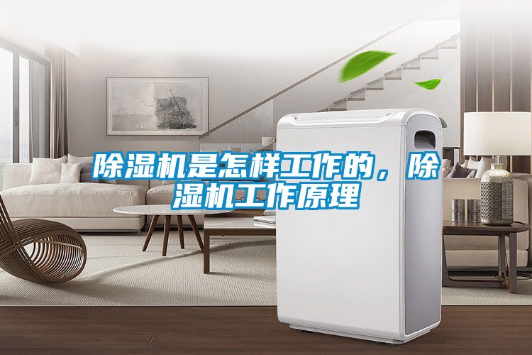 除濕機(jī)是怎樣工作的，除濕機(jī)工作原理