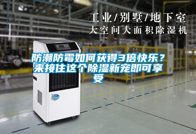 防潮防霉如何獲得3倍快樂？來接住這個(gè)除濕新寵即可享受