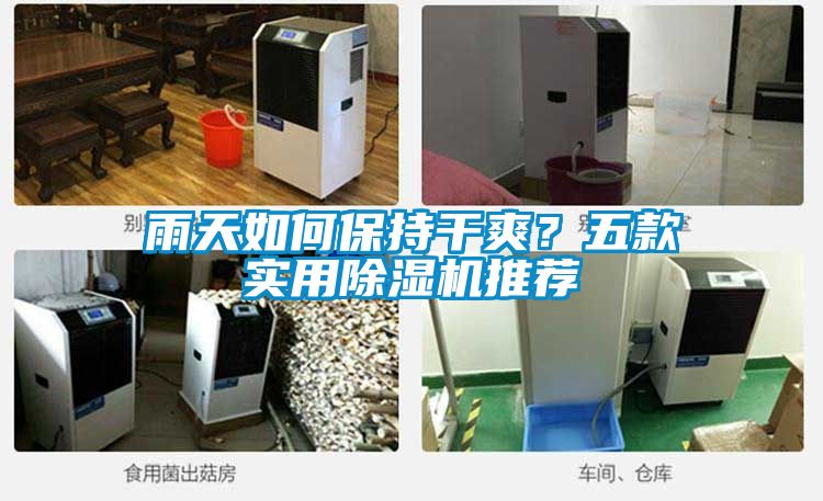 雨天如何保持干爽？五款實用除濕機推薦