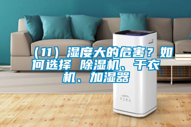 （11）濕度大的危害？如何選擇 除濕機(jī)、干衣機(jī)、加濕器