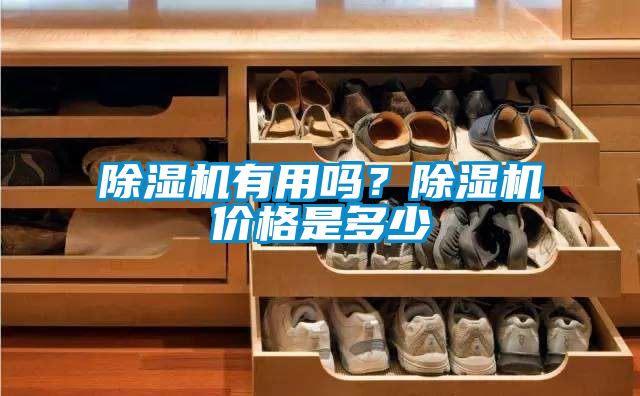除濕機(jī)有用嗎？除濕機(jī)價(jià)格是多少