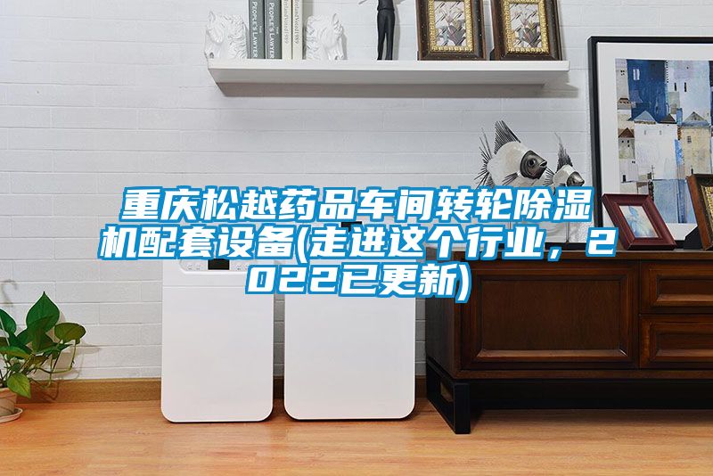 重慶松越藥品車間轉(zhuǎn)輪除濕機配套設備(走進這個行業(yè)，2022已更新)