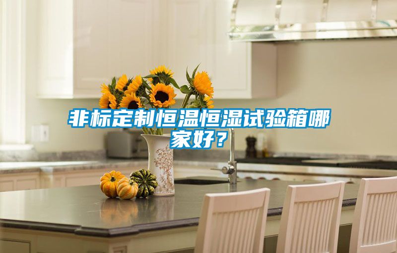 非標(biāo)定制恒溫恒濕試驗箱哪家好？