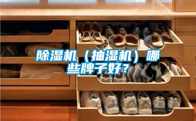 除濕機(jī)（抽濕機(jī)）哪些牌子好？