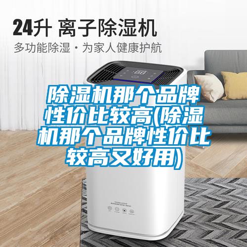 除濕機(jī)那個(gè)品牌性?xún)r(jià)比較高(除濕機(jī)那個(gè)品牌性?xún)r(jià)比較高又好用)