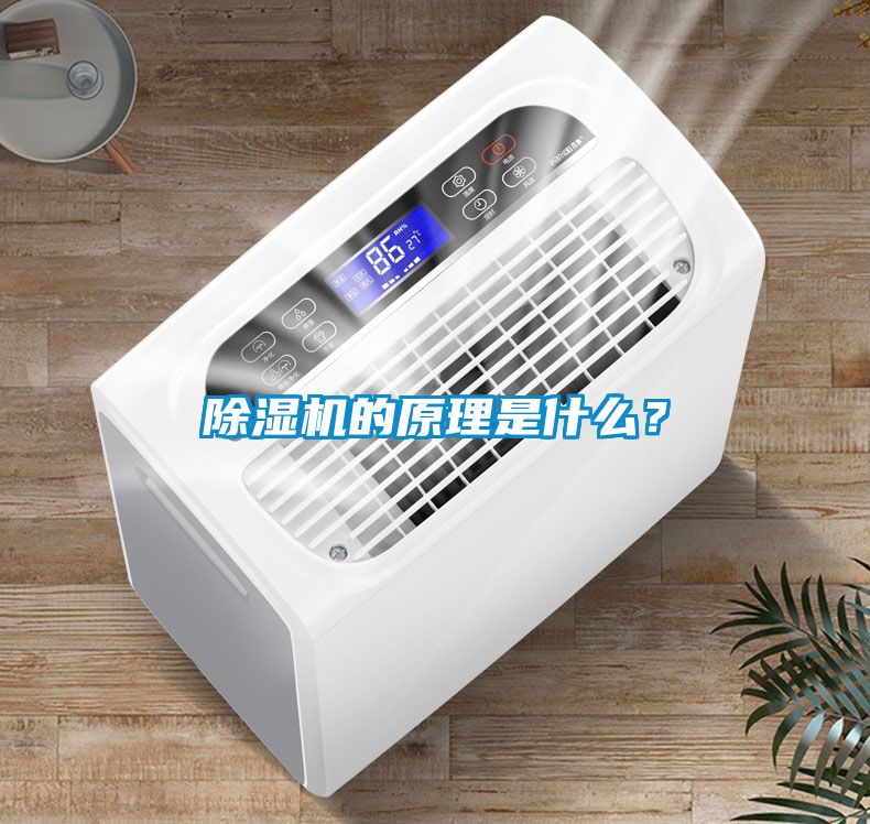 除濕機(jī)的原理是什么？