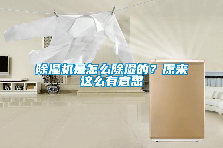 除濕機(jī)是怎么除濕的？原來這么有意思