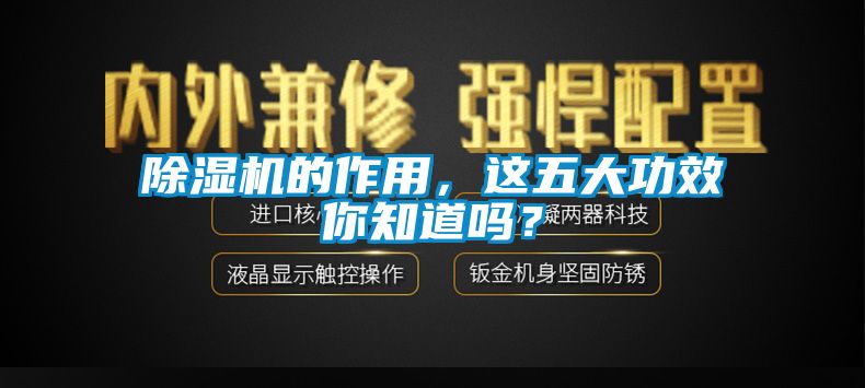 除濕機(jī)的作用，這五大功效你知道嗎？