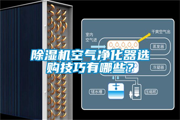 除濕機(jī)空氣凈化器選購技巧有哪些？
