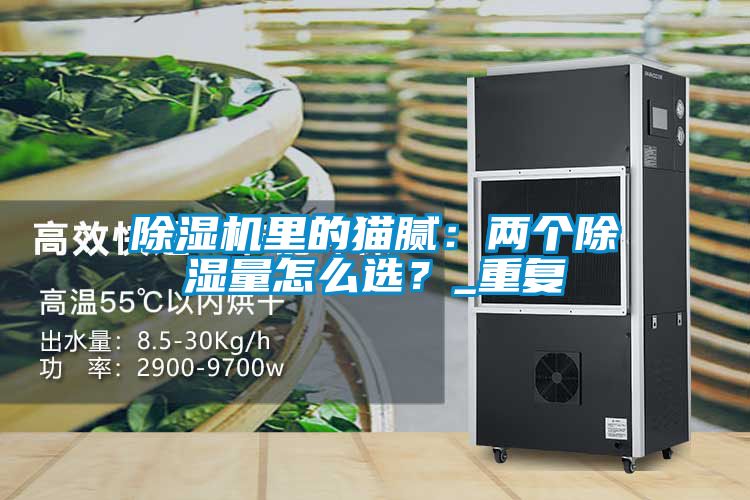 除濕機里的貓膩：兩個除濕量怎么選？_重復(fù)