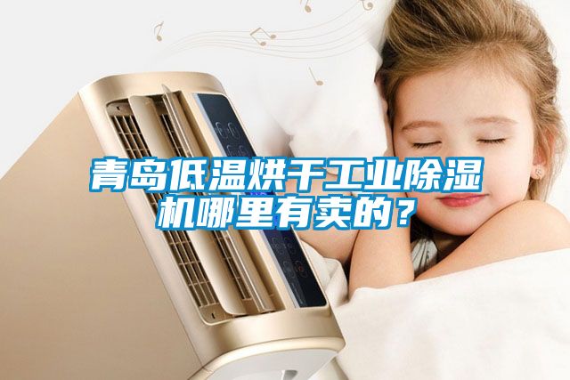青島低溫烘干工業(yè)除濕機(jī)哪里有賣的？