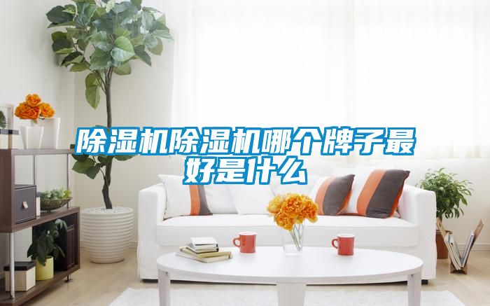 除濕機(jī)除濕機(jī)哪個牌子最好是什么
