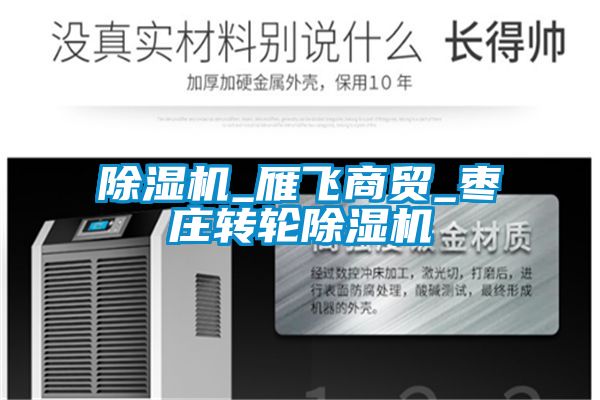 除濕機_雁飛商貿(mào)_棗莊轉(zhuǎn)輪除濕機