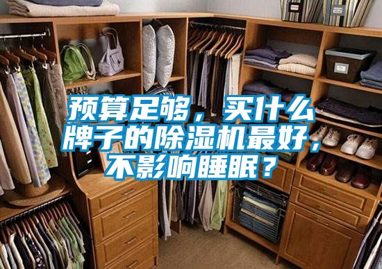預(yù)算足夠，買什么牌子的除濕機(jī)最好，不影響睡眠？