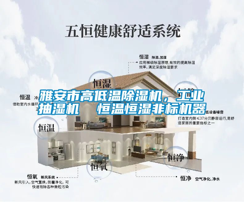 雅安市高低溫除濕機，工業(yè)抽濕機  恒溫恒濕非標機器
