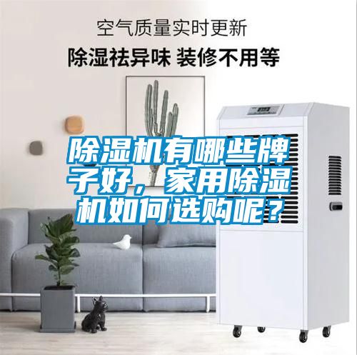 除濕機有哪些牌子好，家用除濕機如何選購呢？