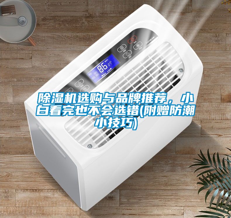 除濕機(jī)選購(gòu)與品牌推薦，小白看完也不會(huì)選錯(cuò)(附贈(zèng)防潮小技巧)