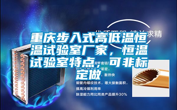 重慶步入式高低溫恒溫試驗(yàn)室廠家，恒溫試驗(yàn)室特點(diǎn)，可非標(biāo)定做