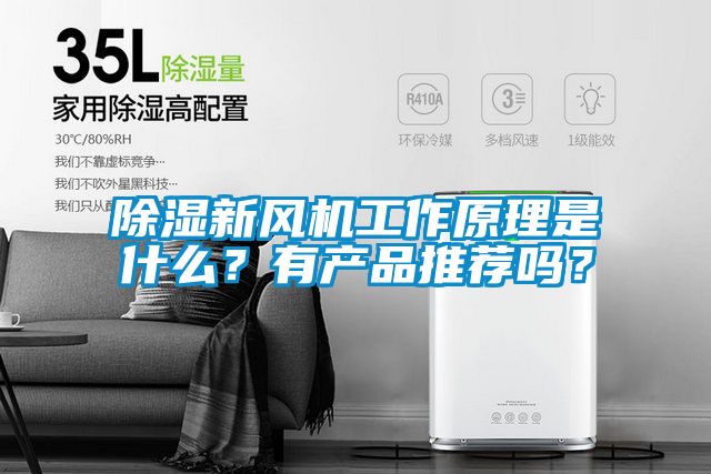 除濕新風(fēng)機(jī)工作原理是什么？有產(chǎn)品推薦嗎？
