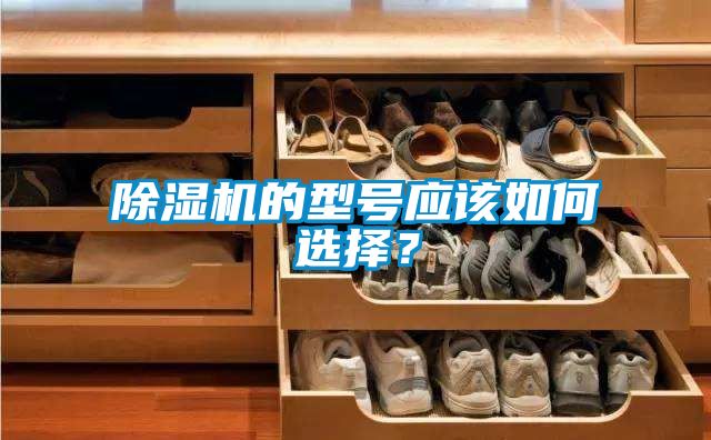 除濕機(jī)的型號應(yīng)該如何選擇？