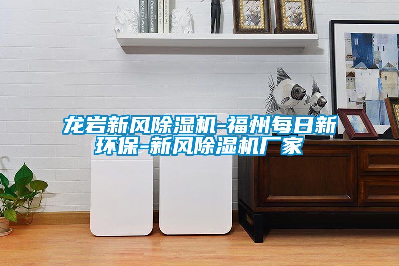龍巖新風(fēng)除濕機(jī)-福州每日新環(huán)保-新風(fēng)除濕機(jī)廠(chǎng)家