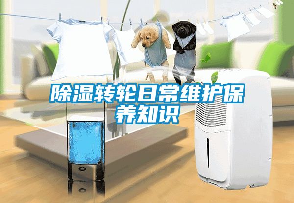 除濕轉(zhuǎn)輪日常維護(hù)保養(yǎng)知識