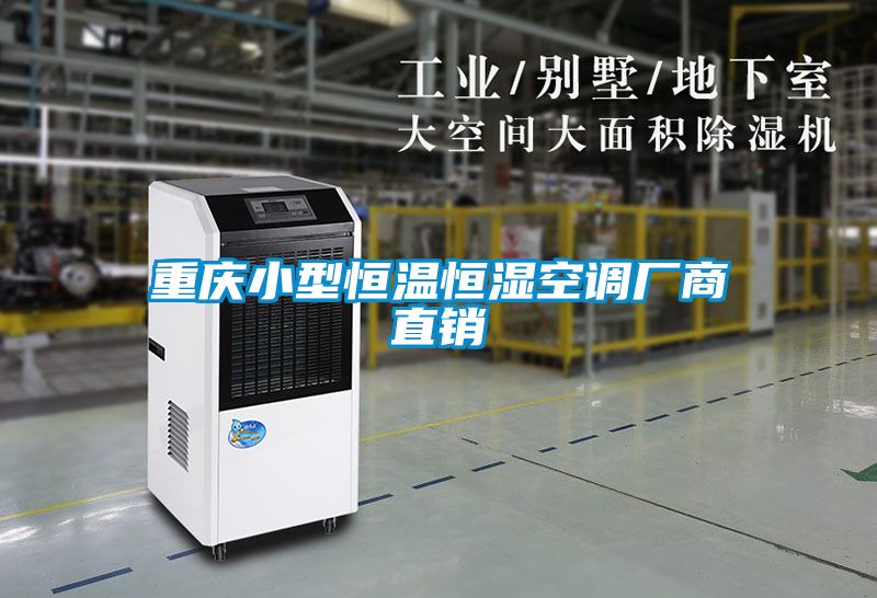 重慶小型恒溫恒濕空調(diào)廠商直銷(xiāo)