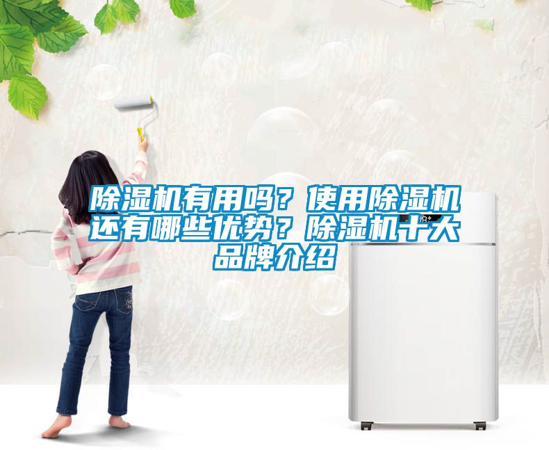 除濕機(jī)有用嗎？使用除濕機(jī)還有哪些優(yōu)勢(shì)？除濕機(jī)十大品牌介紹