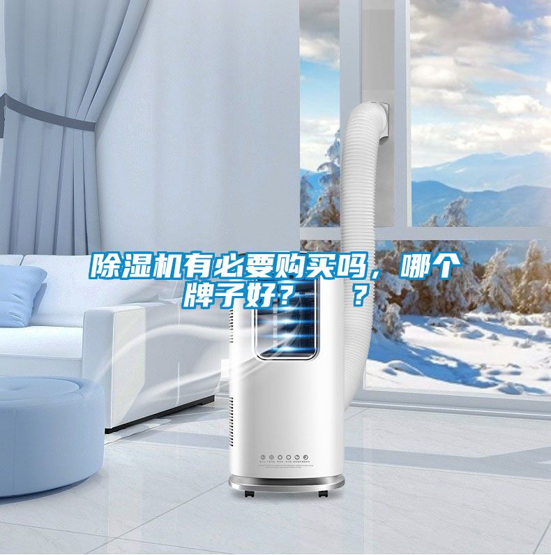 除濕機有必要購買嗎，哪個牌子好？  ？