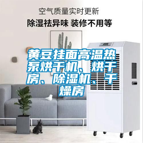 黃豆掛面高溫?zé)岜煤娓蓹C(jī)、烘干房、除濕機(jī)、干燥房