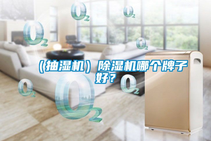（抽濕機(jī)）除濕機(jī)哪個(gè)牌子好？