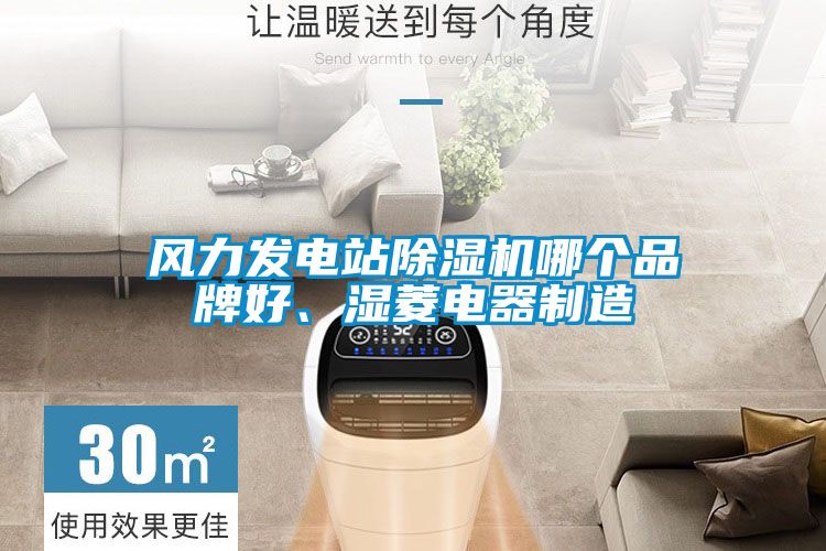 風力發(fā)電站除濕機哪個品牌好、濕菱電器制造