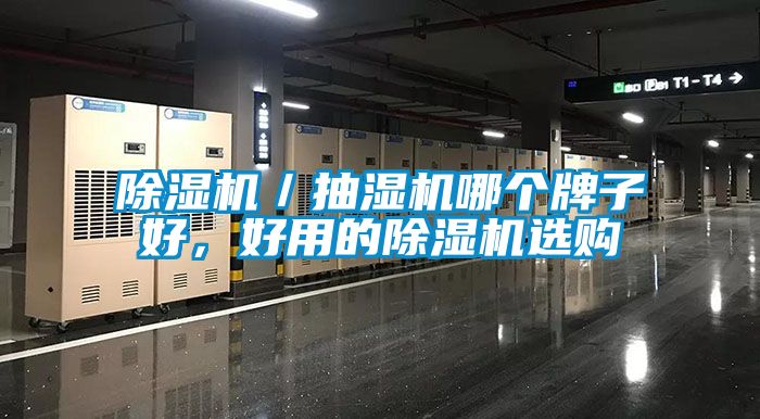 除濕機(jī)／抽濕機(jī)哪個(gè)牌子好，好用的除濕機(jī)選購(gòu)