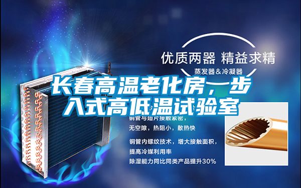 長春高溫老化房，步入式高低溫試驗(yàn)室