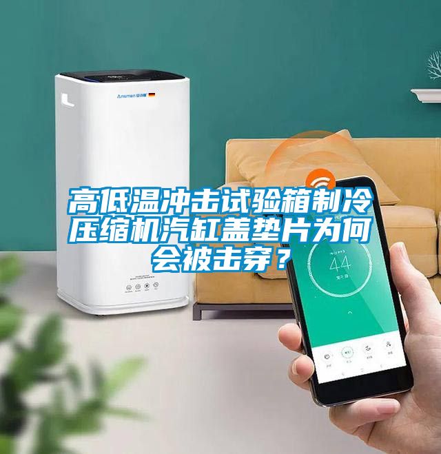 高低溫沖擊試驗(yàn)箱制冷壓縮機(jī)汽缸蓋墊片為何會(huì)被擊穿？