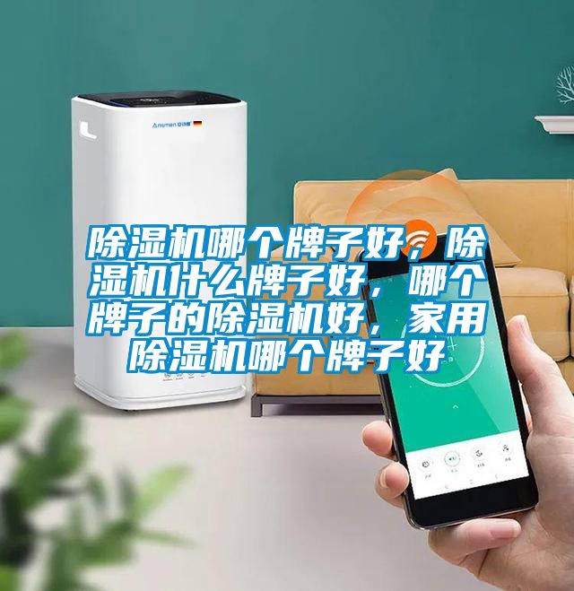 除濕機哪個牌子好，除濕機什么牌子好，哪個牌子的除濕機好，家用除濕機哪個牌子好