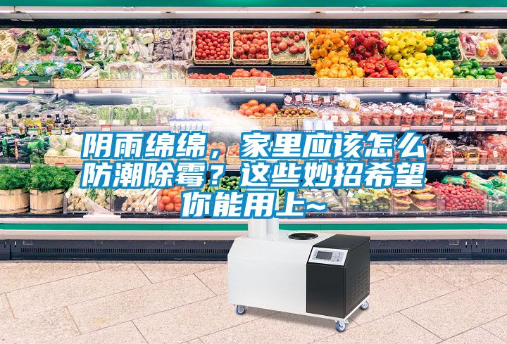 陰雨綿綿，家里應該怎么防潮除霉？這些妙招希望你能用上~