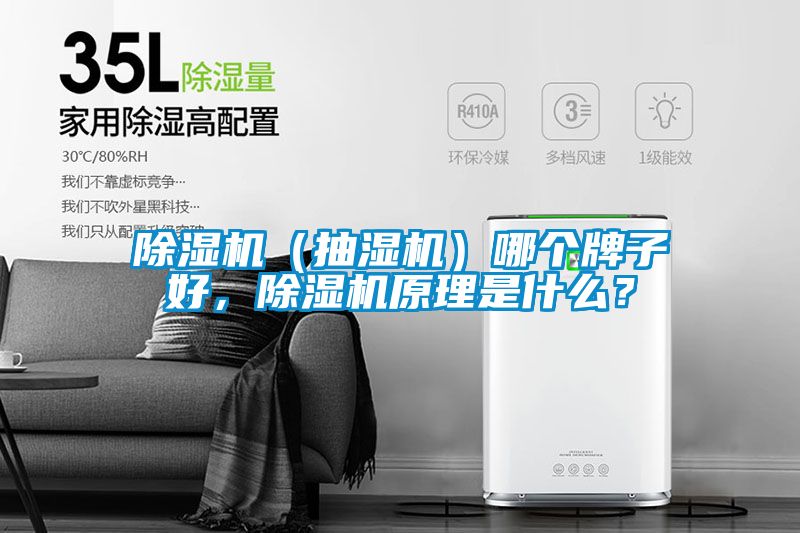 除濕機（抽濕機）哪個牌子好，除濕機原理是什么？
