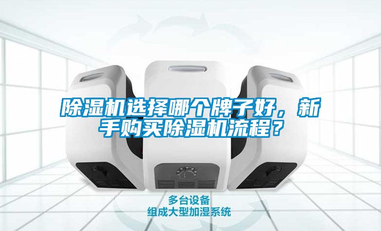 除濕機(jī)選擇哪個(gè)牌子好，新手購買除濕機(jī)流程？