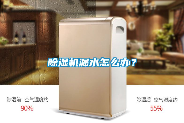 除濕機(jī)漏水怎么辦？