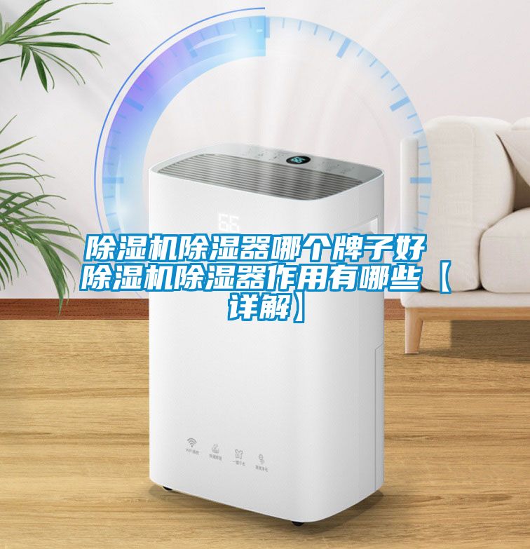 除濕機(jī)除濕器哪個牌子好 除濕機(jī)除濕器作用有哪些【詳解】