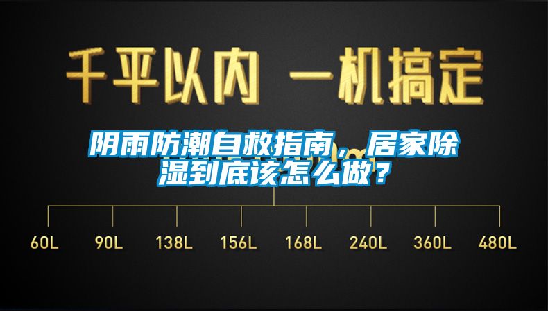 陰雨防潮自救指南，居家除濕到底該怎么做？