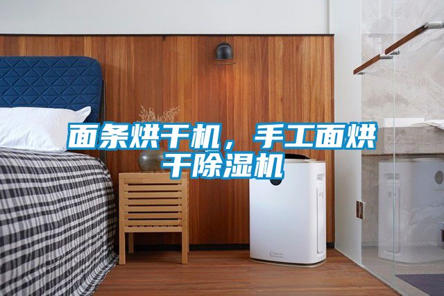 面條烘干機(jī)，手工面烘干除濕機(jī)