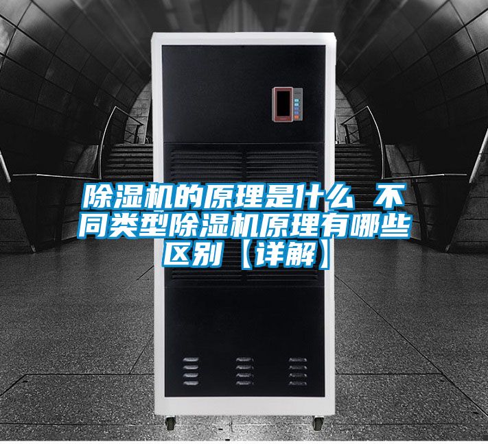 除濕機(jī)的原理是什么 不同類(lèi)型除濕機(jī)原理有哪些區(qū)別【詳解】