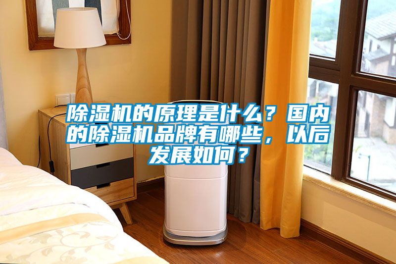 除濕機(jī)的原理是什么？國內(nèi)的除濕機(jī)品牌有哪些，以后發(fā)展如何？